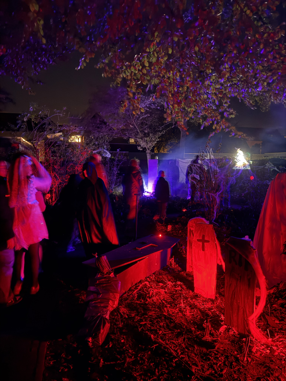 De Tocht van Zwarte Kaat 2025